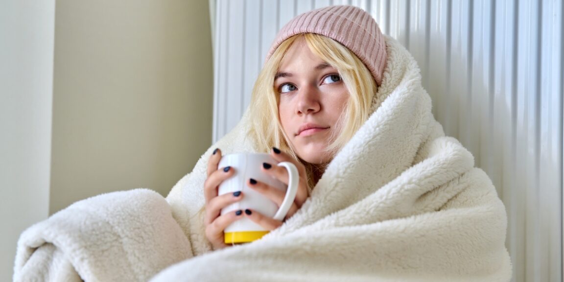 Comment chauffer votre maison en hiver en économisant de l’énergie ?