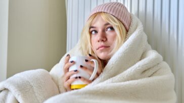 Comment chauffer votre maison en hiver en économisant de l’énergie ?
