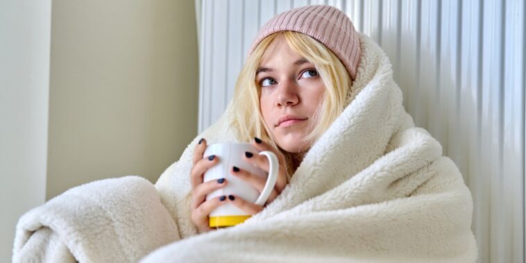 Comment chauffer votre maison en hiver en économisant de l’énergie ?