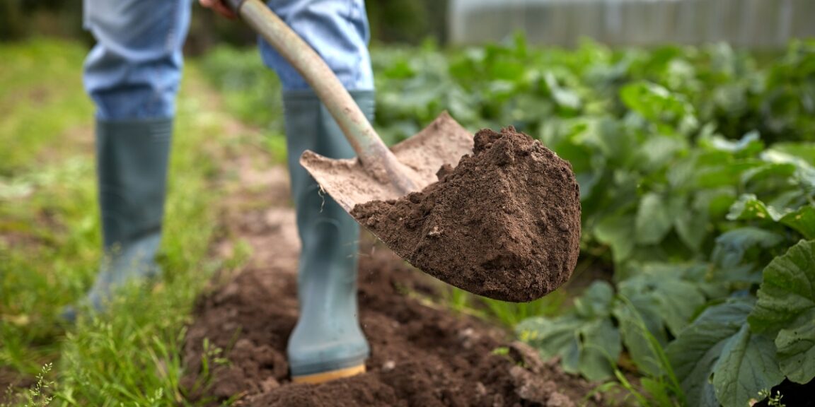 Astuces pour bêcher son jardin en hiver : l'importance de ce geste et les meilleures techniques pour le réaliser