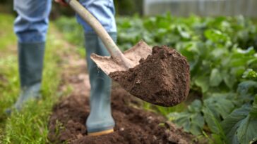 Astuces pour bêcher son jardin en hiver : l'importance de ce geste et les meilleures techniques pour le réaliser