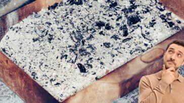 Astuces pour une cheminée écoresponsable : faut-il jeter ou recycler les cendres