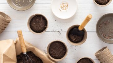 Astuces de jardinage : découvrez le terreau idéal pour une germination réussie de vos semis