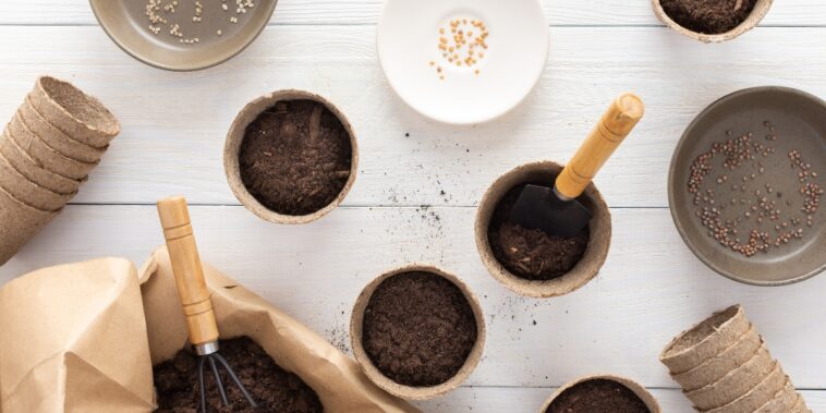 Astuces de jardinage : découvrez le terreau idéal pour une germination réussie de vos semis