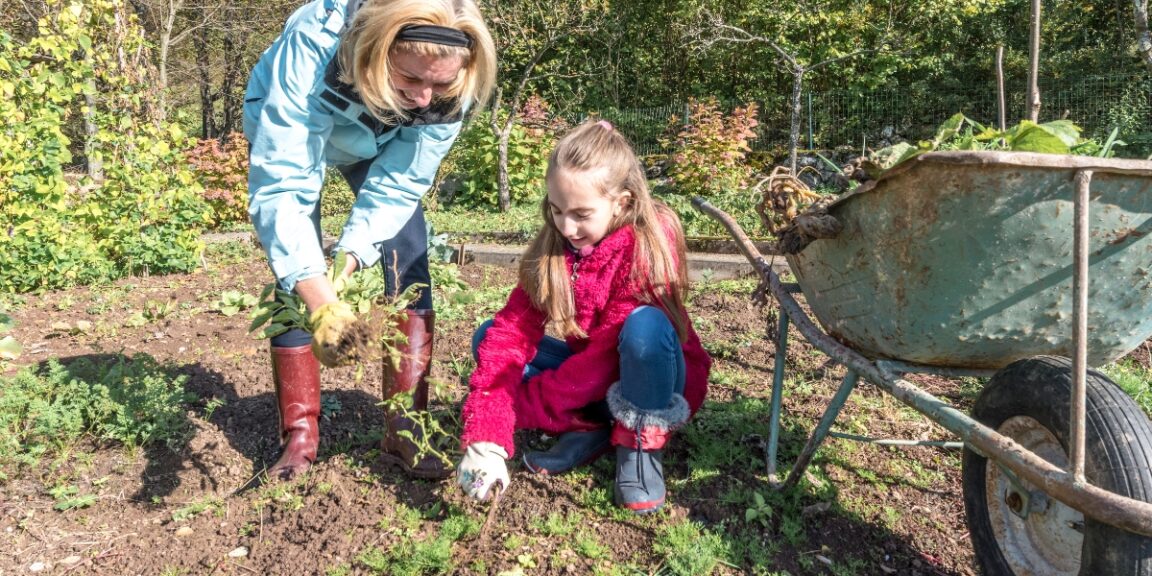 Au jardin en janvier : que planter, semer et faire en janvier