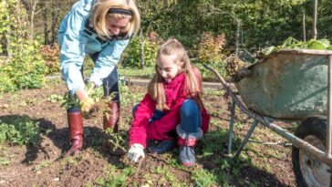Au jardin en janvier : que planter, semer et faire en janvier