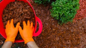 Maximisez la protection de votre jardin en hiver : découvrez les astuces essentielles pour un paillage réussi