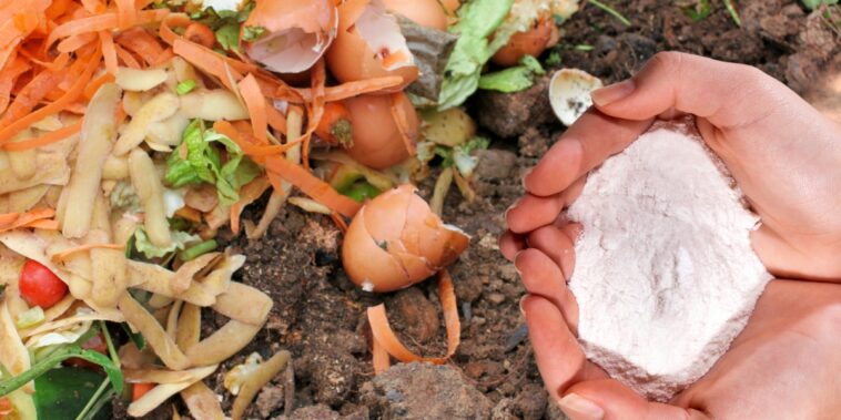 Découverte étonnante : comment le bicarbonate de soude peut révolutionner votre compost