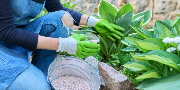 Astuces pour fertiliser vos plantes en hiver : quel engrais et comment l'utiliser ?
