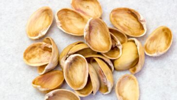 Pourquoi mettre des coquilles de pistaches dans les pots de fleurs et comment les recycler ?