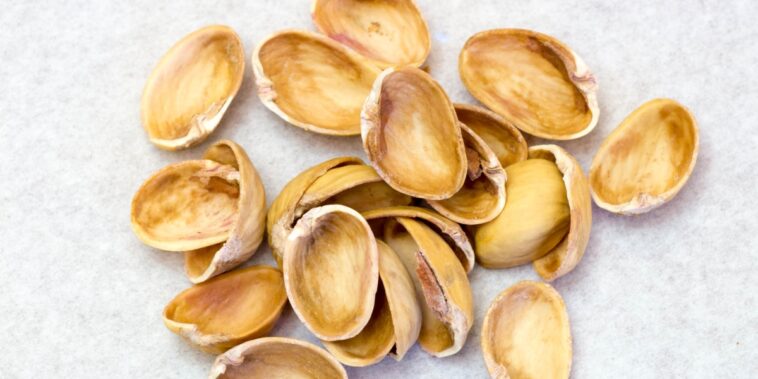 Pourquoi mettre des coquilles de pistaches dans les pots de fleurs et comment les recycler ?