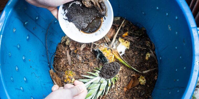 Peut-on mettre du marc de café dans le compost ? Comment procéder ?