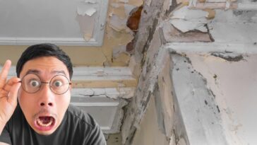 Humidité dans votre maison : quels sont les signes et comment s’en débarrasser ?