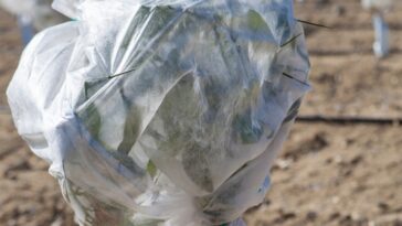 Comment éviter la condensation sous les voiles d’hivernage ?