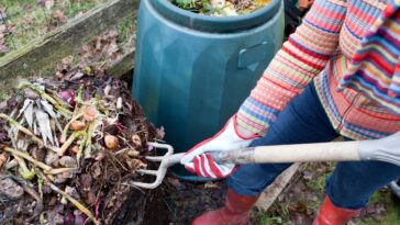 Composter ou trier vos déchets organiques: que devrez-vous vraiment faire en 2024 ?