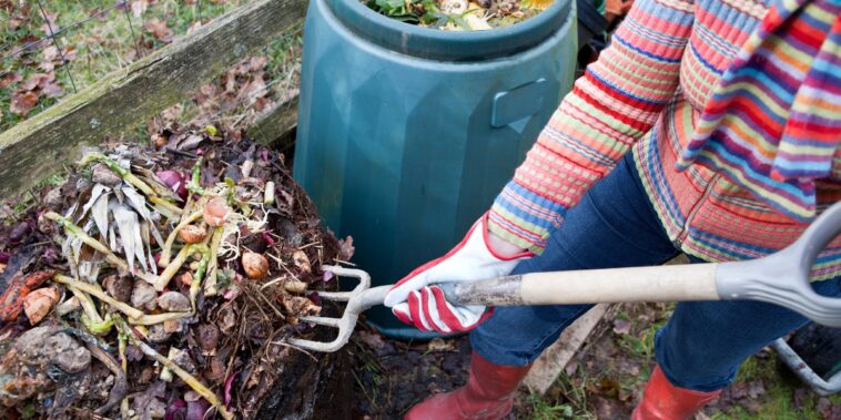 Composter ou trier vos déchets organiques: que devrez-vous vraiment faire en 2024 ?