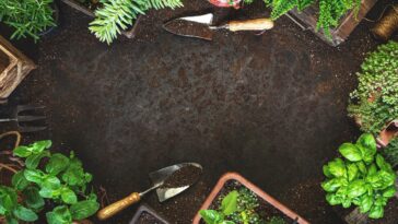Astuces pour optimiser votre jardinage avec le calendrier lunaire 2024 !