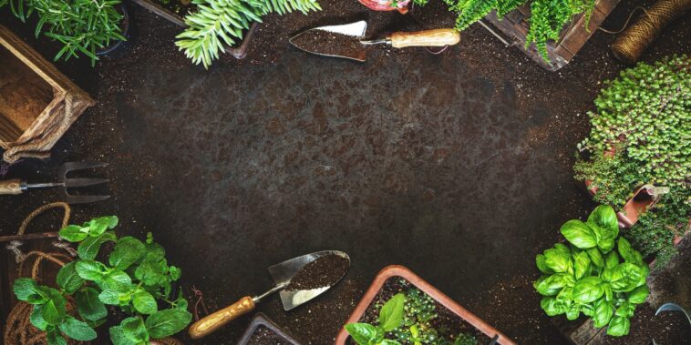 Astuces pour optimiser votre jardinage avec le calendrier lunaire 2024 !