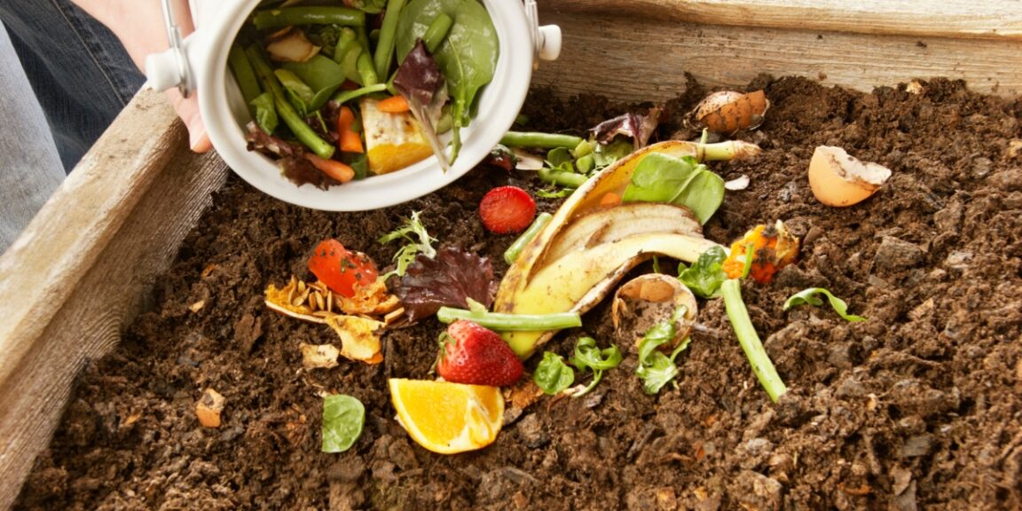 Astuces jardinage : Les déchets à exclure de votre compost pour un jardin florissant