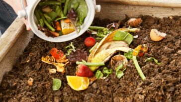 Astuces jardinage : Les déchets à exclure de votre compost pour un jardin florissant