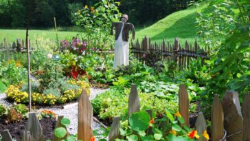 Astuces de jardinier  les meilleures activités au verger en février