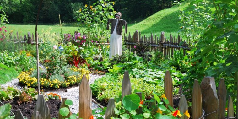 Astuces de jardinier  les meilleures activités au verger en février
