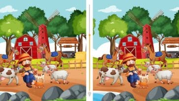 Jeu d'observation : Trouvez les 4 différences subtiles en moins de 20 secondes et prouvez votre acuité visuelle exceptionnelle dès maintenant !