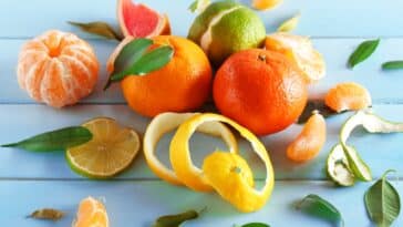 Engrais de pelure de fruits : Quels sont les restes alimentaires les plus nutritifs pour vos plantes ?