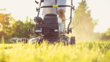 Comment redonner vie à une pelouse facilement ? Nos bons conseils pratiques !