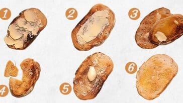 Test de personnalité : Comment mangez-vous votre tartine le matin ? Les réponses vont surprendre