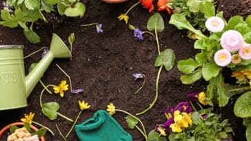 Astuces pour réussir les plantations du mois de mars au jardin !