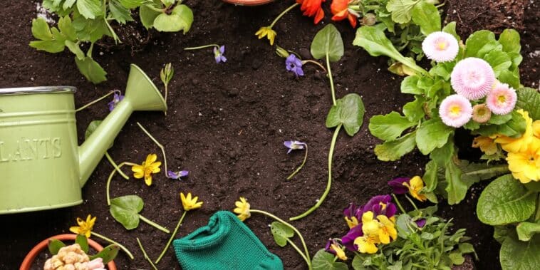 Astuces pour réussir les plantations du mois de mars au jardin !