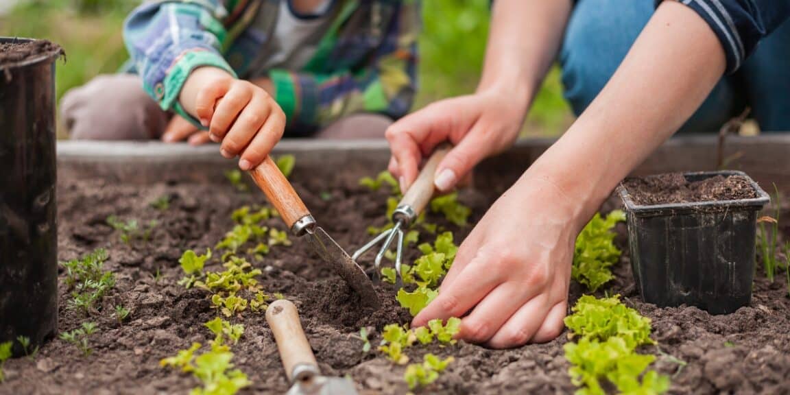 Quels sont les travaux à réaliser en mars au potager ?