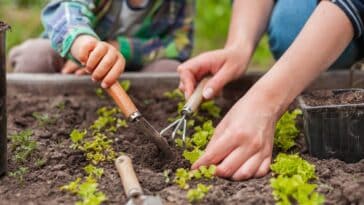 Quels sont les travaux à réaliser en mars au potager ?