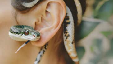 Test de personnalité : Le serpent ou l’oreille ? Une réponse sur votre caractère qui vous étonnera à coup sûr.