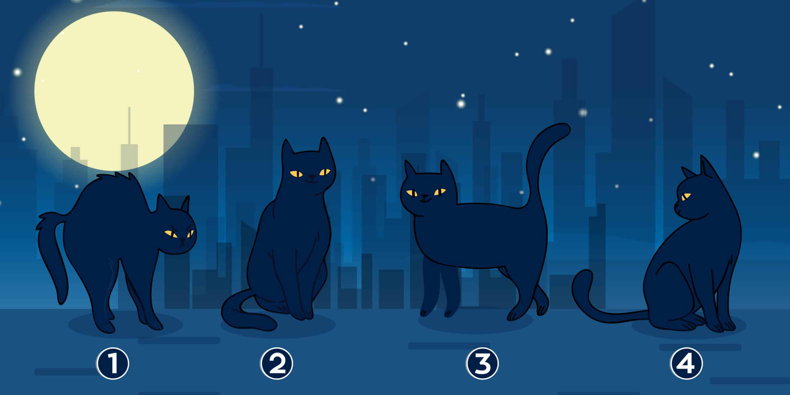 Test de personnalité : Révélez votre mission de vie en choisissant parmi ces 4 chats mystérieux !