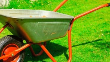 Pourquoi ajouter du sable dans votre jardin ? Conseils pratiques pour optimiser les bienfaits sur votre pelouse