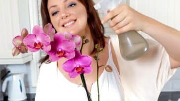 Révélation florale : découvrez l'ingrédient surprenant pour une floraison spectaculaire de vos orchidées