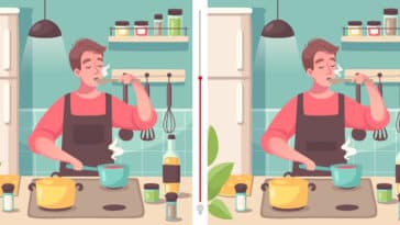 Défi visuel : Testez votre sens du détail et relevez le challenge en moins de 20 secondes !