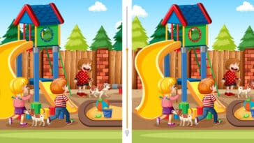 Jeu d'observation : Trouvez les 3 différences en un clin d'œil, défi à relever en moins de 15 secondes ! Serez-vous assez rapide ?
