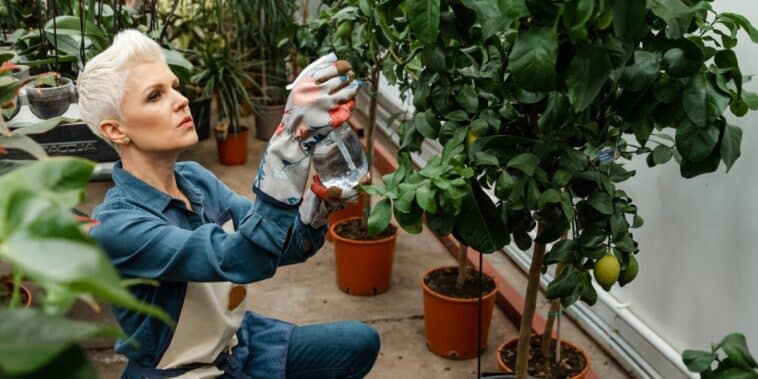 Les 4 mauvaises habitudes à éviter absolument pour préserver vos plantes selon les dernières tendances en jardinage !