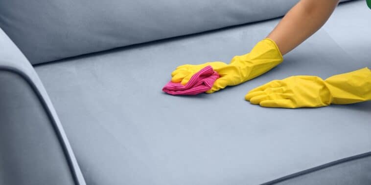 Comment nettoyer efficacement vos canapés en tissu et daim : astuces rapides pour un salon impeccable !