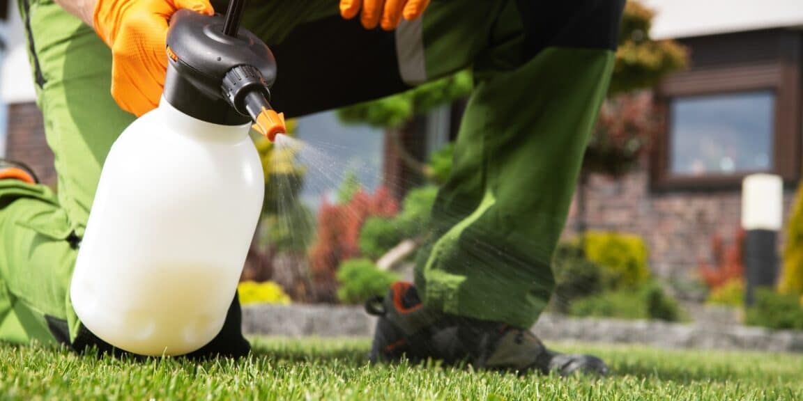 Découvrez comment réaliser un désherbant maison efficace avec du bicarbonate de soude et d'autres ingrédients naturels !