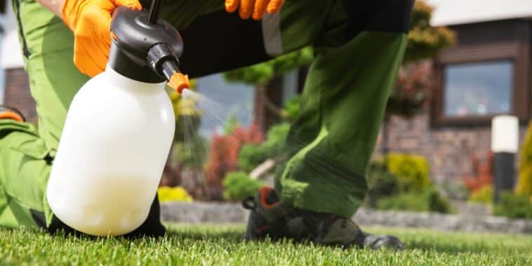 Découvrez comment réaliser un désherbant maison efficace avec du bicarbonate de soude et d'autres ingrédients naturels !