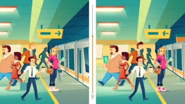 Jeu d'observation : Mettez à l'épreuve votre capacité de détection rapide avec notre défi visuel !