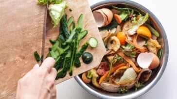 Découvrez des astuces simples pour transformer vos déchets végétaux en compost et enrichir naturellement votre jardin !