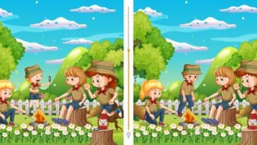 Jeu d'observation  : trouvez les 4 différences dans ces images en moins de 25 secondes et testez la puissance de votre regard ! Serez-vous assez rapide et attentif ?
