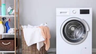 Découvrez les bienfaits insoupçonnés des feuilles de laurier pour un linge impeccable en machine !