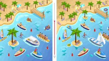 Défi visuel : Trouvez les 7 différences entre ces deux images en moins de 30 secondes et prouvez votre acuité !