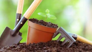 Astuces de jardinage : découvrez les travaux incontournables à débuter en mai